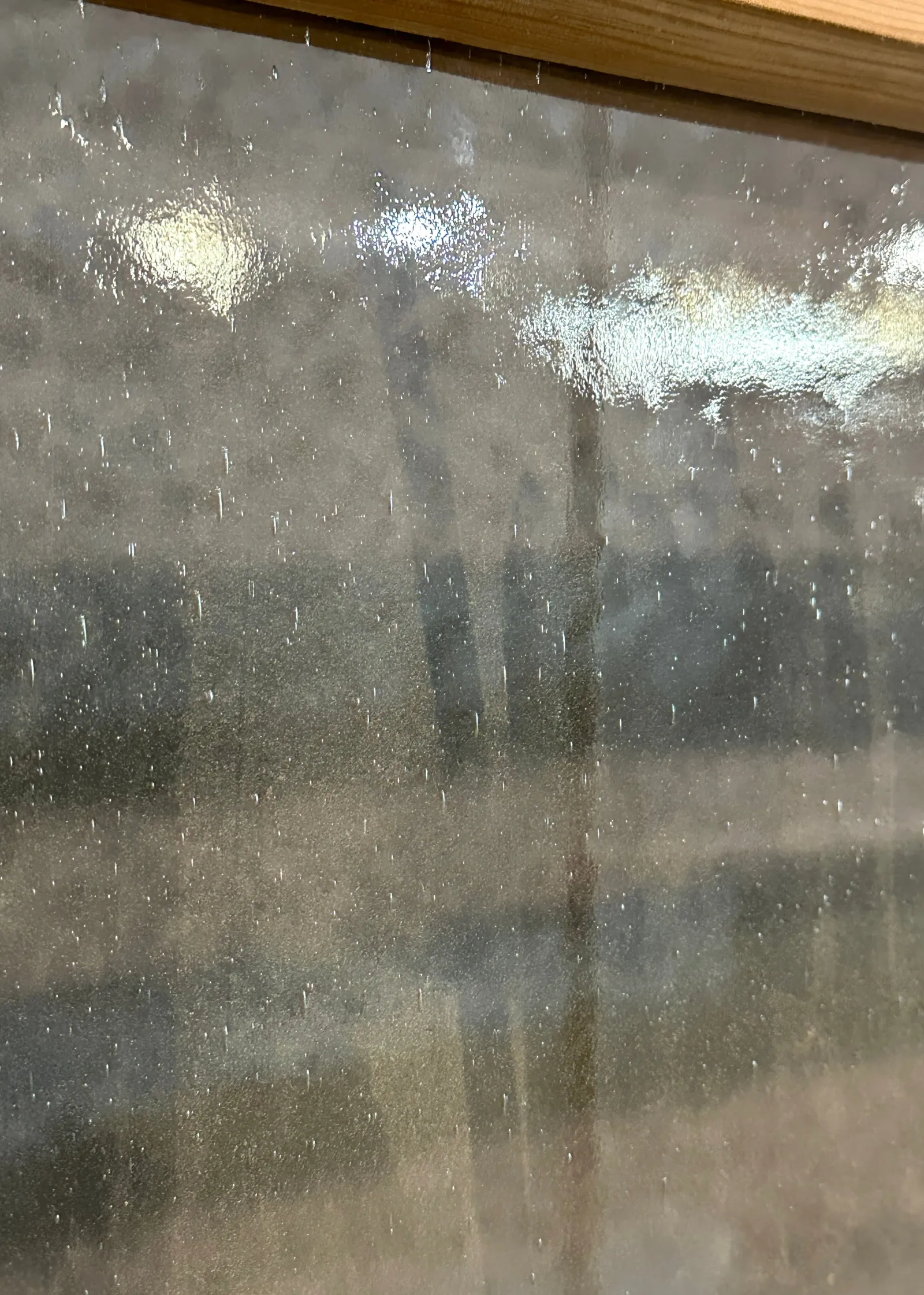 THE OTIS GLASS SINGLE GLASS DOOR