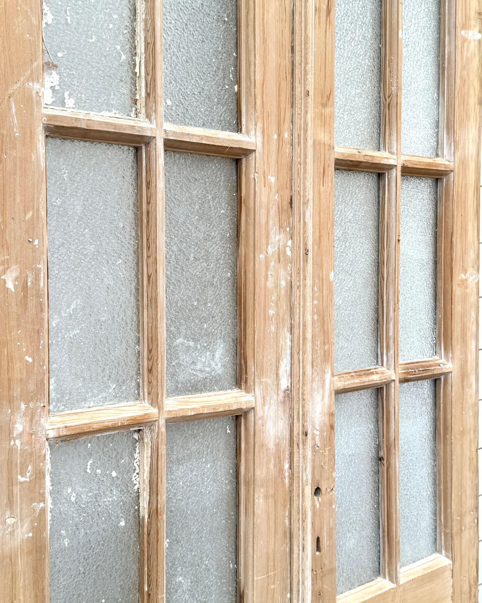 THE TONI GLASS DOOR PAIR