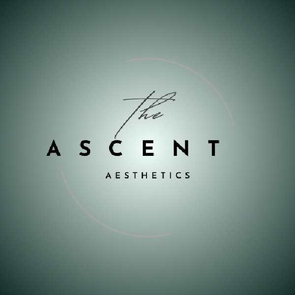 The Ascent aesthetics