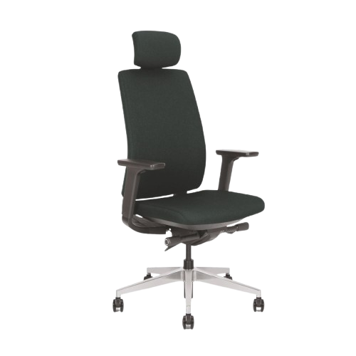 Ergonomic High-Back Office Chair with Adjustable Headrest-GAGA