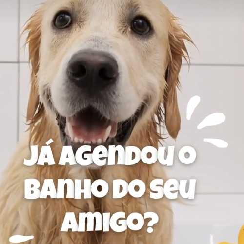 Tangará Pet Shop