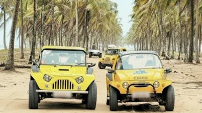 Best Tour (Buggy)