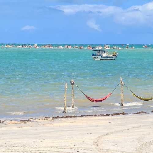 Vergetti Turismo - Transfer Privativo Maragogi 