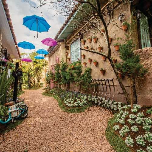 Jardim Do Amor