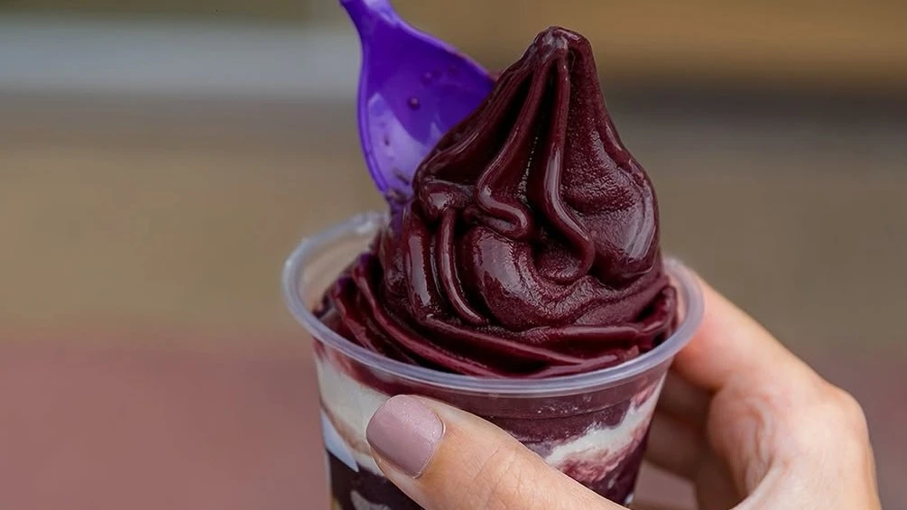 Sapore Açaí - Villa Branca