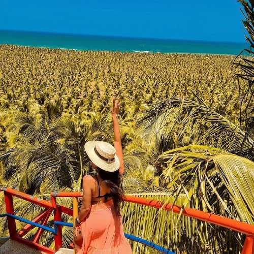 Agência Macedo Turismo - Transfer Privativo Praia Do Gunga