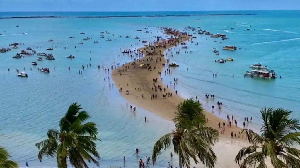 VM Receptivo - Maragogi ITransporte compartilhado + Catamarã
