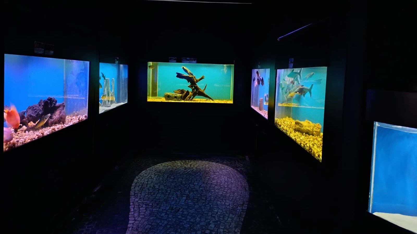 No Mundo das Águas Aquario Educativo 
