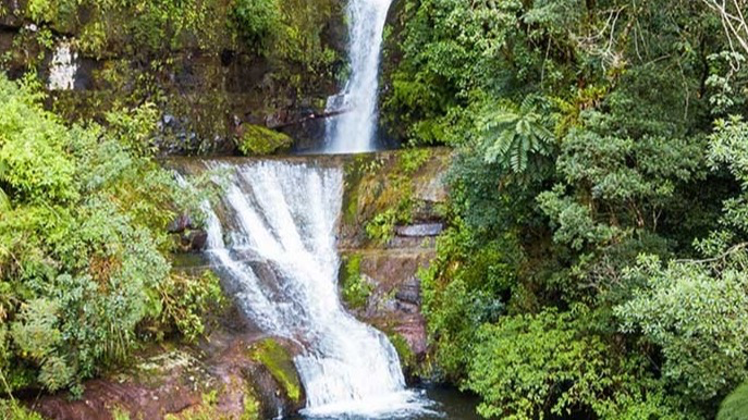 Roteiro do Sul | Nova Veneza (Trilha Cachoeira do Cantão)