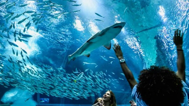 AquaRio + Boulevard Olímpico