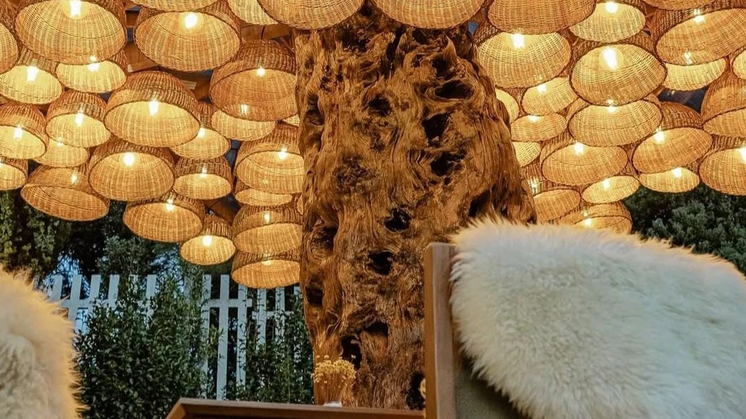 Albero (Buffet Livre)