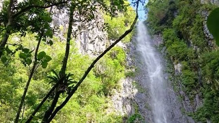 Roteiro do Sul | Nova Veneza (Trilha Cachoeira dos 100 Metros)