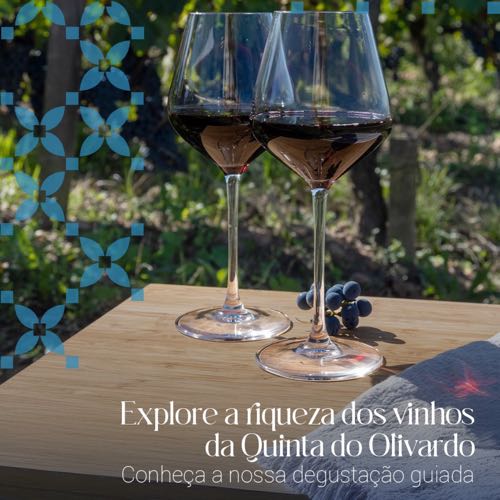Quinta Do Olivardo (Degustação Guiada)