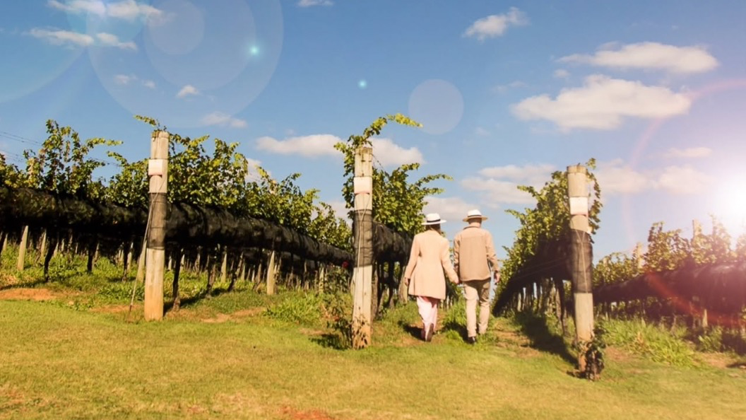 Philosophia Wine (Tour Guiado)