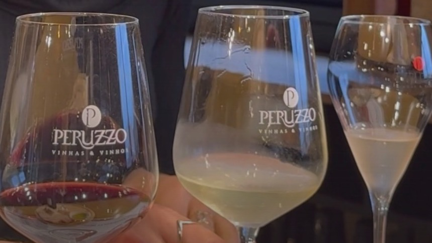 Vinícola Peruzzo (Degustação Degusta 3 rótulos)