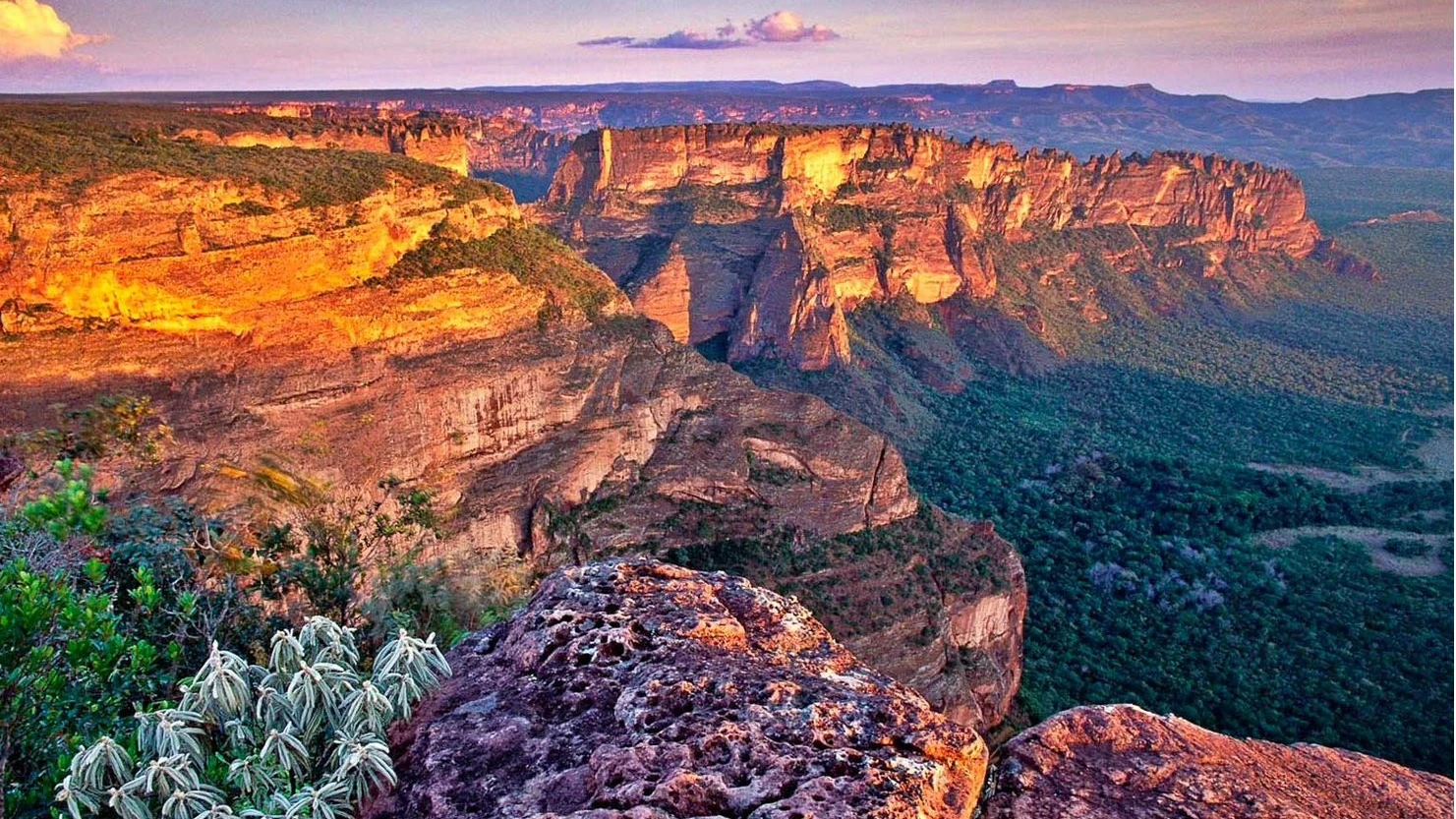 Caiman Tour (Pacote Chapada) 