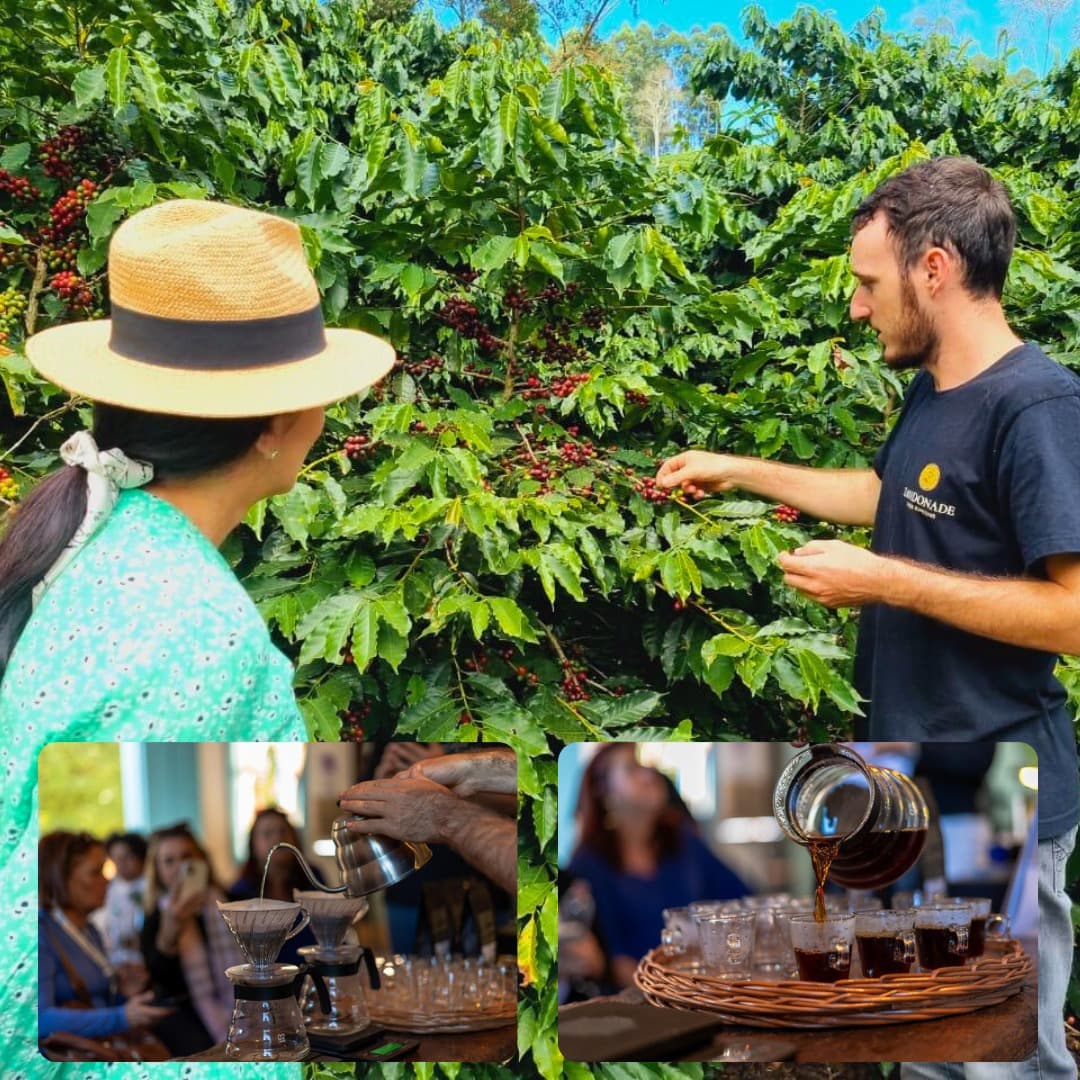 Zandonade Cafés Especiais | Venda Nova do Imigrante (Coffee Tour/ Visita Guiada)