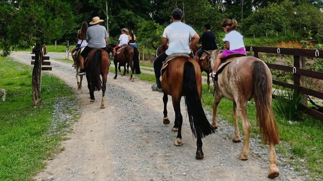 Condado Paraíso | Mendes (Passeio à cavalo)