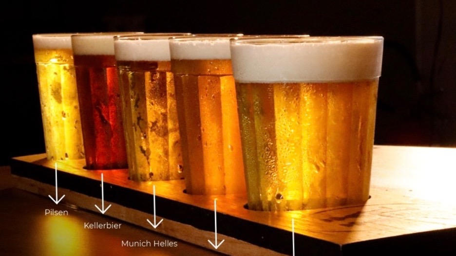 Beers e Beer (Régua de Degustação)