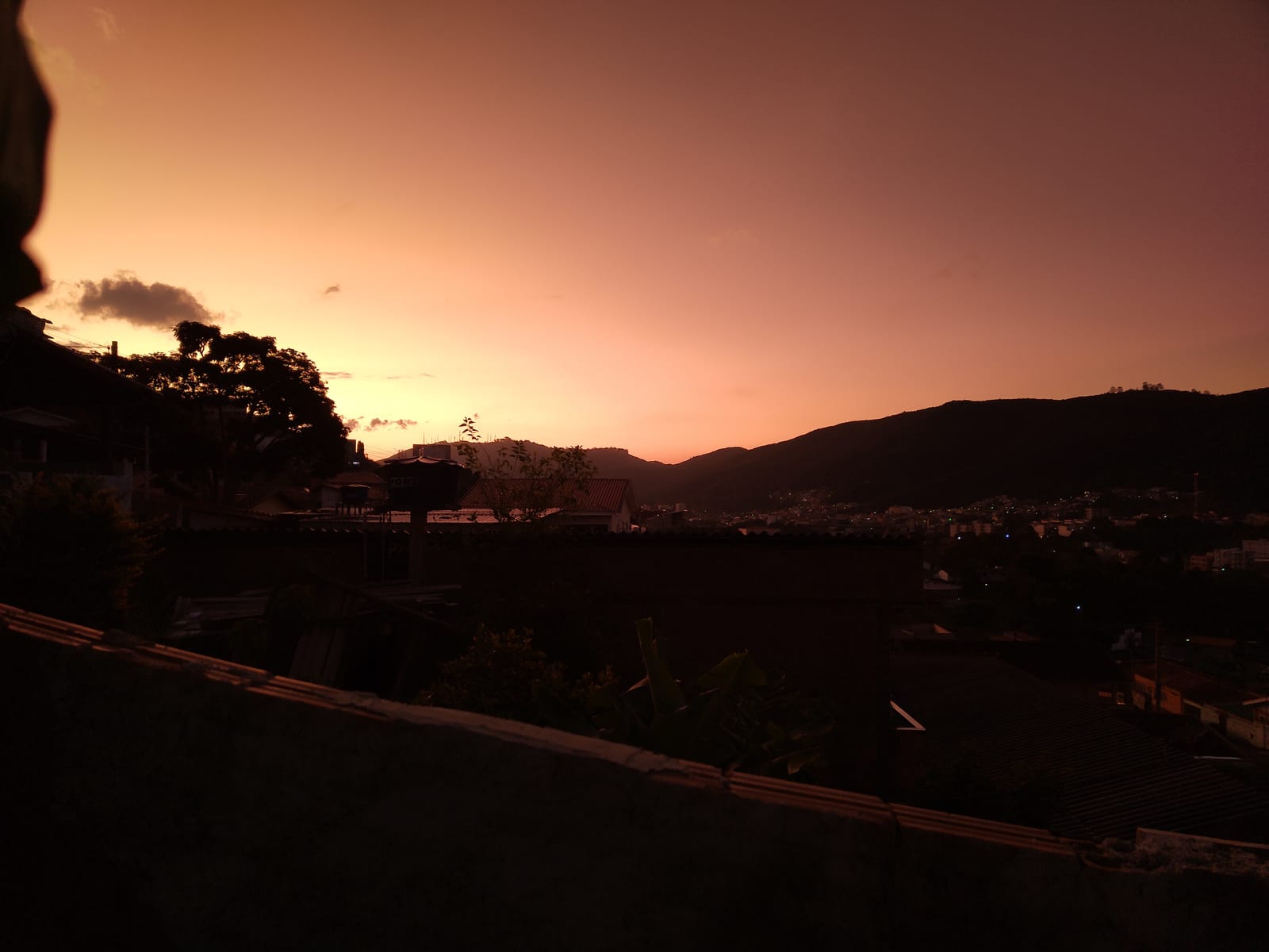 Rene Davi Fotógrafo