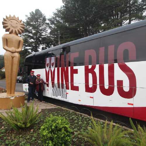 Wine Bus Canela Com Churrasco e Vinícola