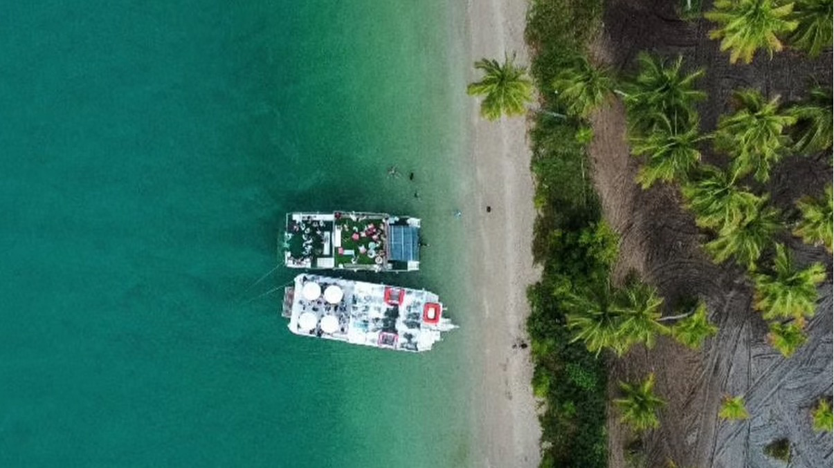 Manguezal Ecoturismo