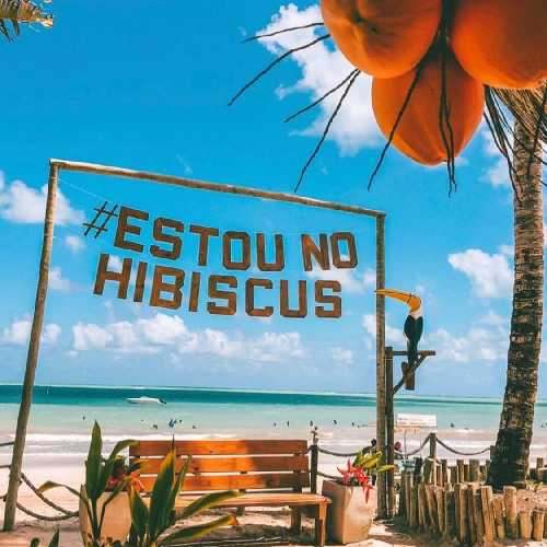 Agência Macedo Turismo - Transfer Privativo Hibiscus Beach Club