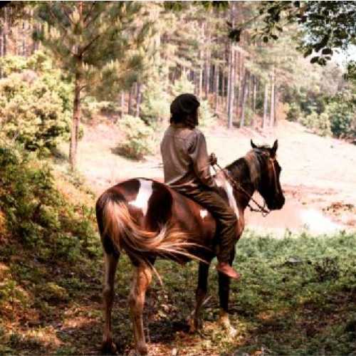 Natureza Awen - Trajeto Vale Awen (Passeio A Cavalo)