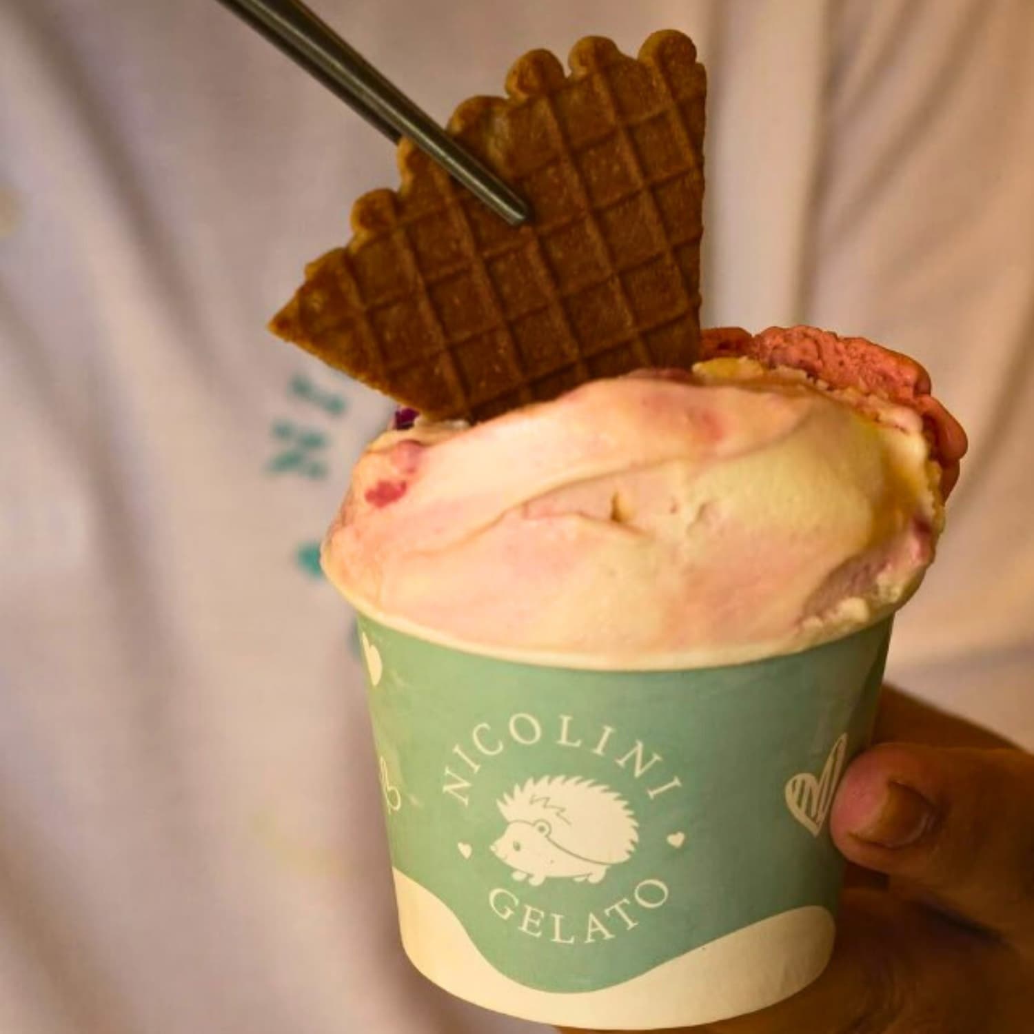 Nicolini Gelato - Campinas