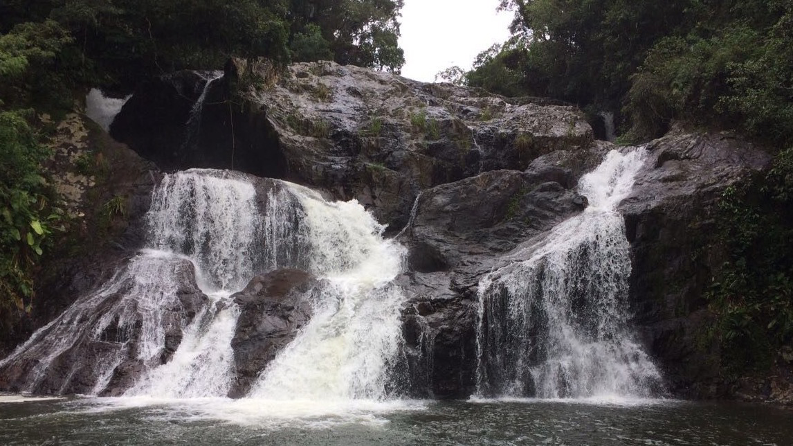 Roteiro do Sul | Nova Veneza (Trilha Cachoeira do Rio Pilão)