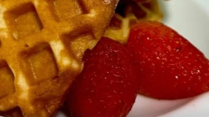 Mundo do Bem (Delivery) - Zona Sul