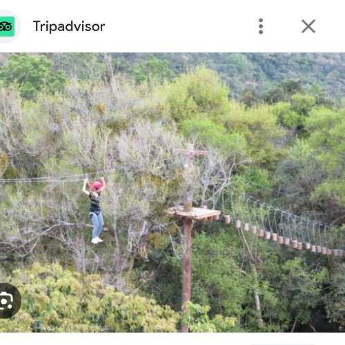 Eco Aventuras (Arvorismo + Rapel)