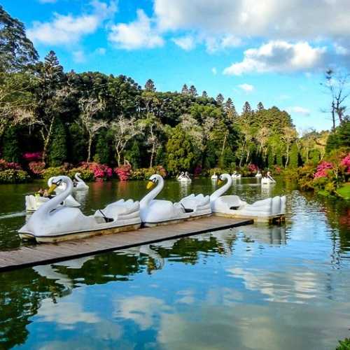 2 City Tour Cortesias (Gramado e Canela)