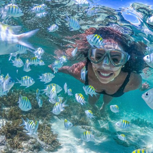 Amar Caribe - Fotos Subaquáticas
