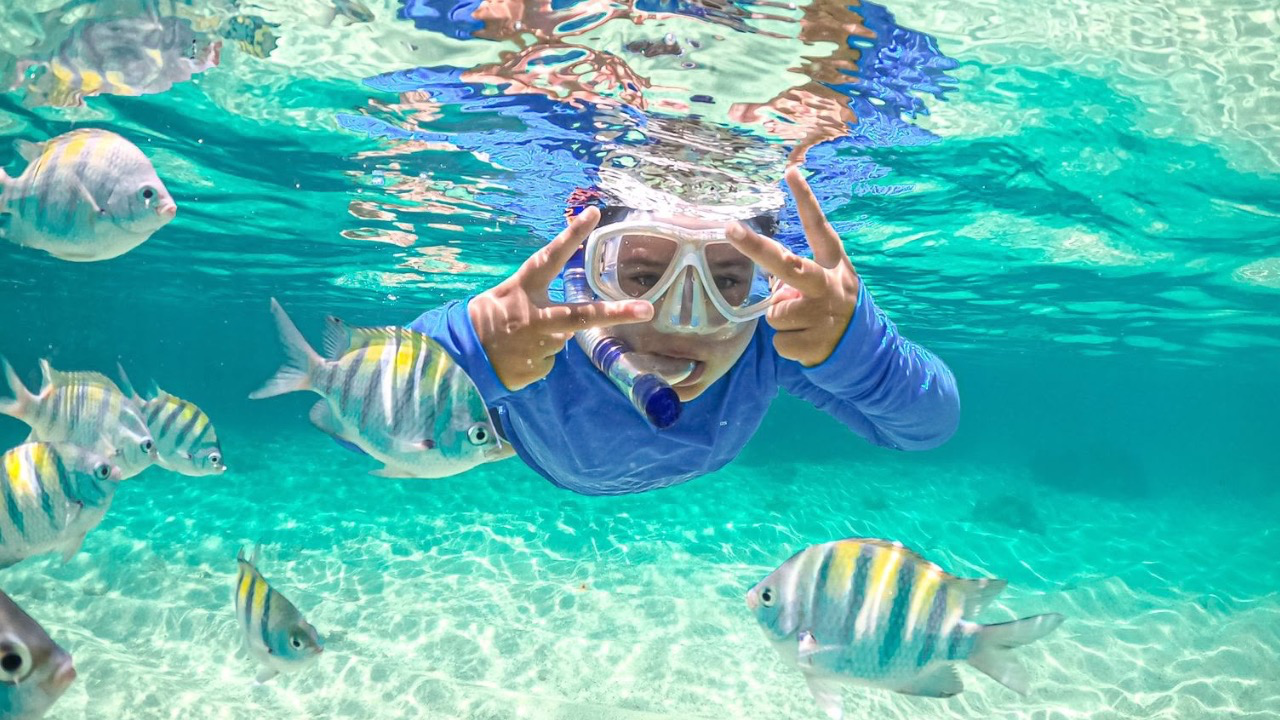 Do Mar Alagoas - Passeio de Lancha às piscinas naturais