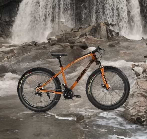 Sereia do Mar (Aluguel de Bike)
