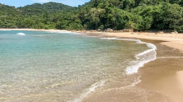 Trail Experience Paraty (Trekking Praia do Sono)