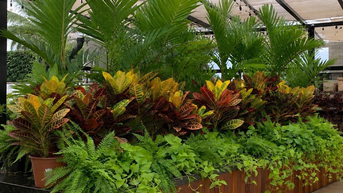 Stochera Mega Garden | Sinop