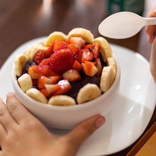 Família Açaí 