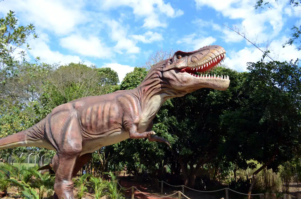 Vale dos Dinossauros - Dreams Park
