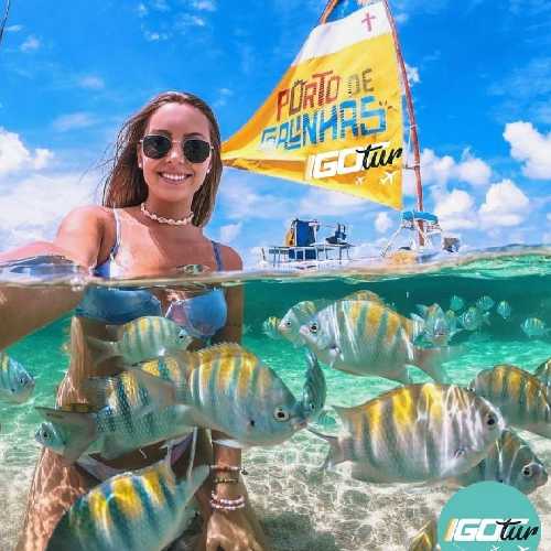 Igor Tur - Transfer Privativo Porto De Galinhas