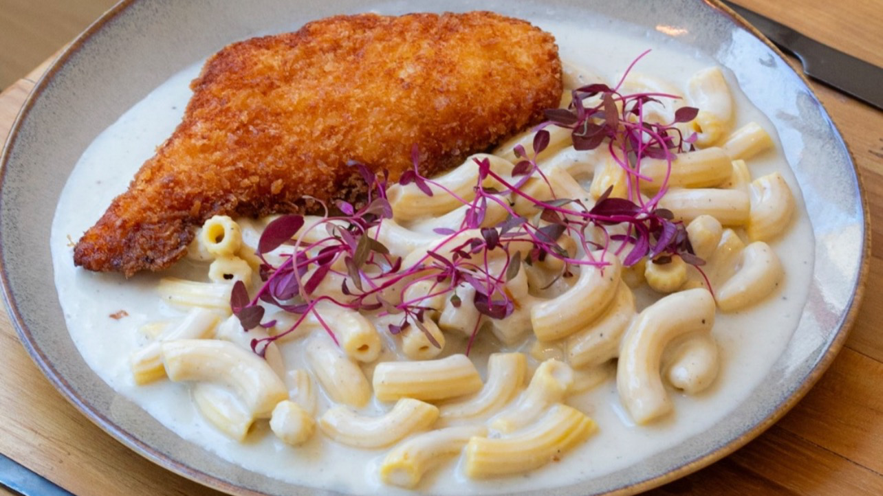 OK Gastronomia - (Pratos)