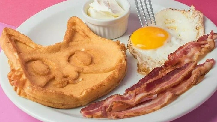 Gato Café - Barra da Tijuca
