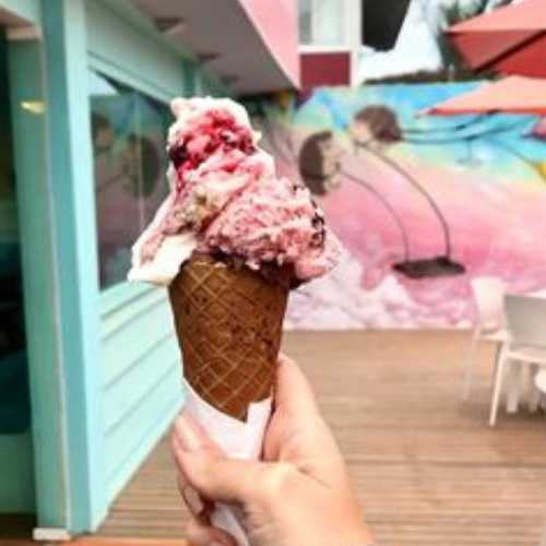 Nicolini Gelato - Lagoa da Conceição