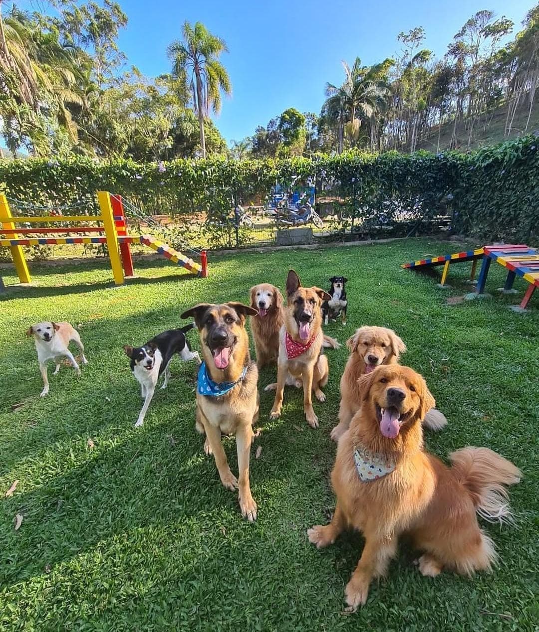 Doguinho's Park Hotel