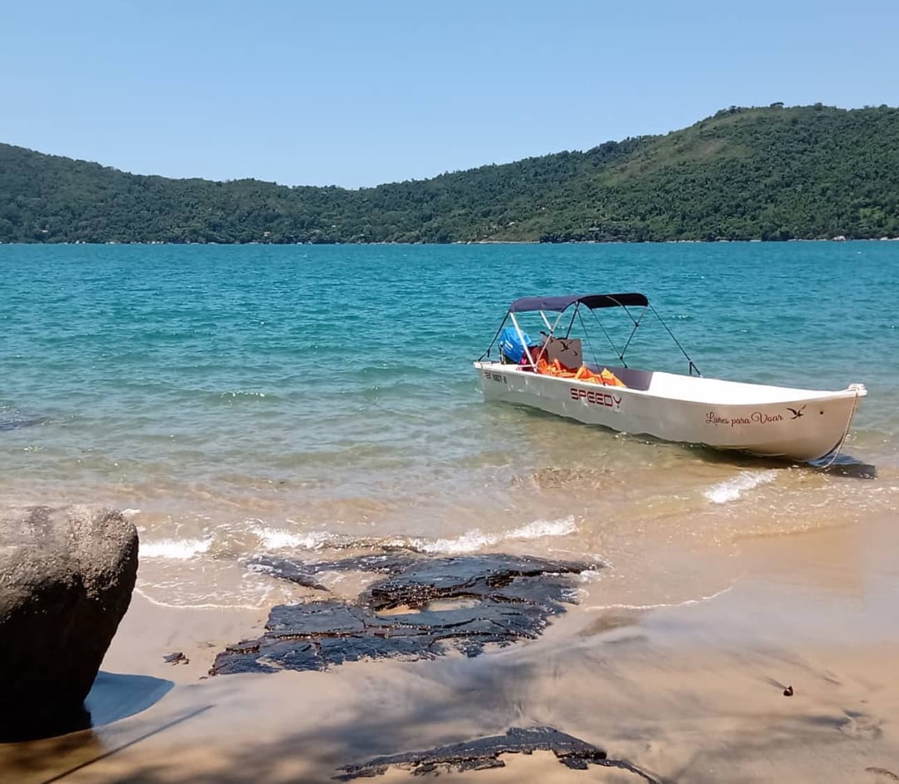 Fenix Tur (Ilha do Pelado)