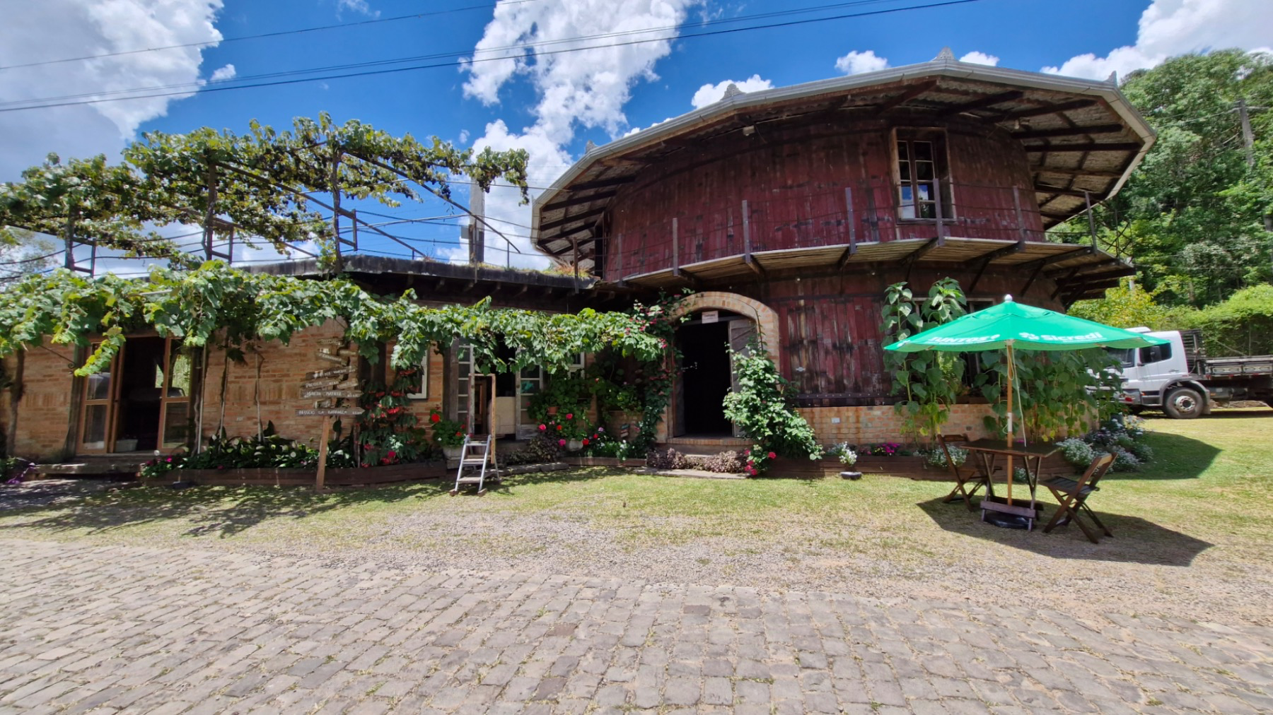 Organovita (Degustação)