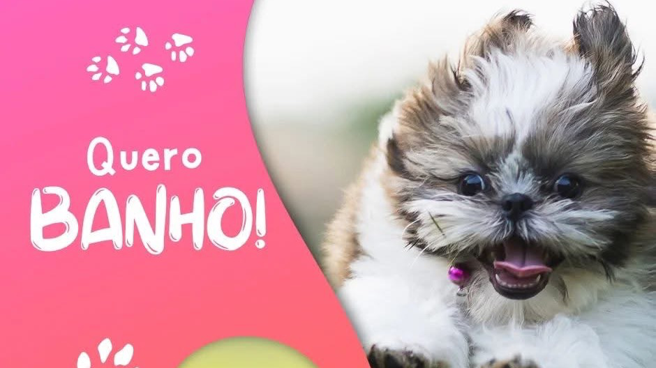 Pet Shop Babi