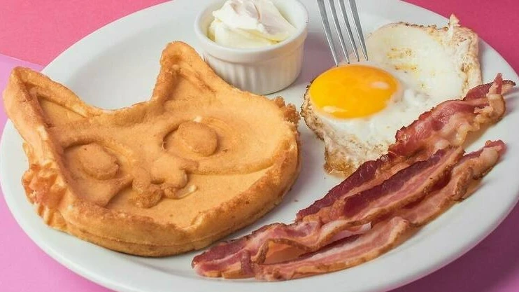 Gato Café - Botafogo