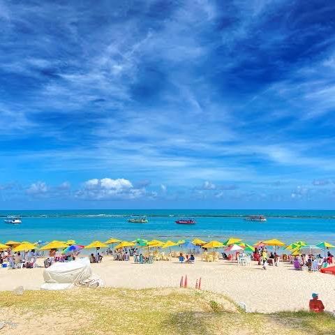 Maceió Prime Turismo - Transfer Coletivo Praia Do Francês 